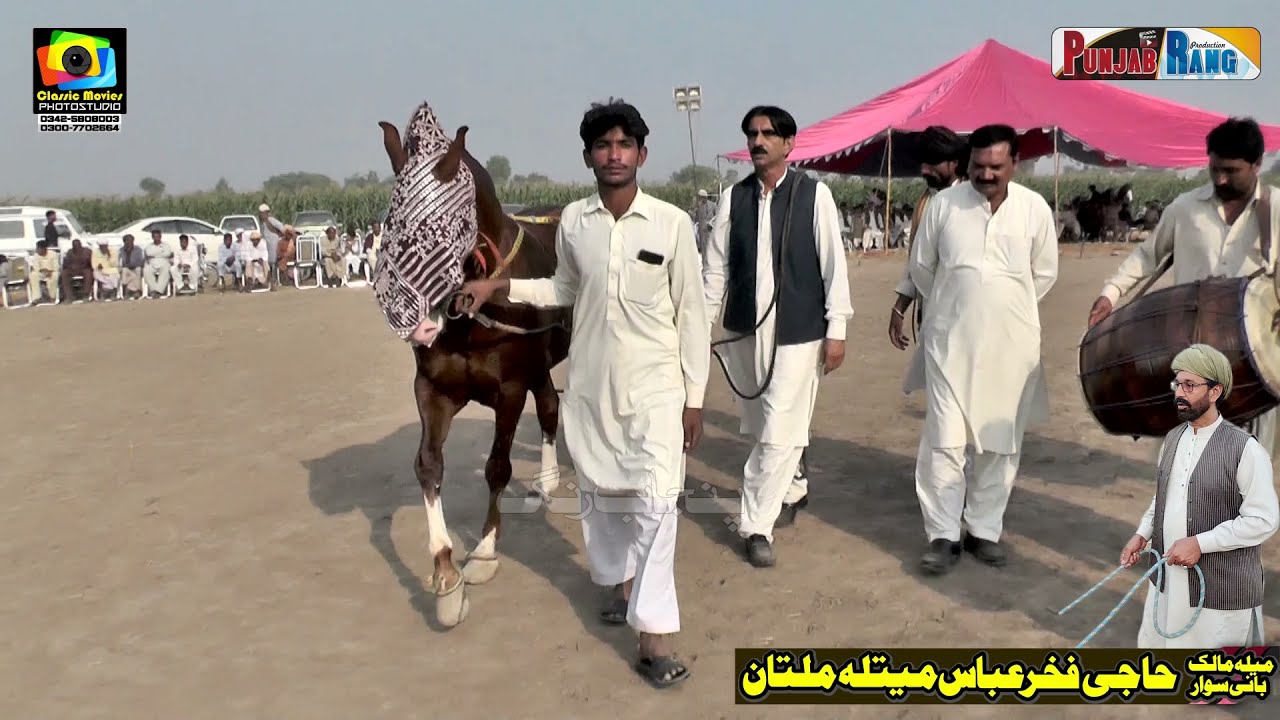 Nagina Gulab ali Chishti ll Horse Dance ll Darbar Mian Wanveer Tukra 57/4 Naiabadi Kamalia