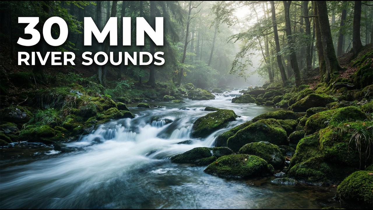 Peaceful River Sounds for Sleeping | 30 Minutes of Flowing Water & Bird Chirps in 4K