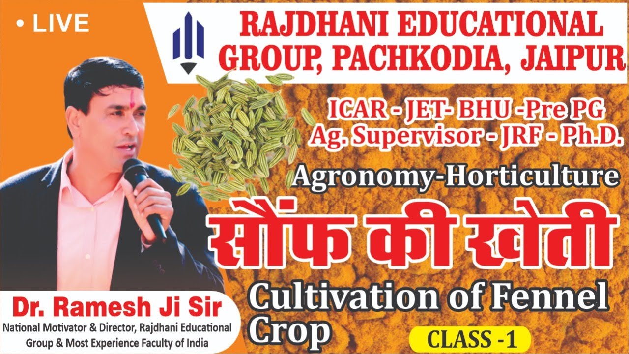 [4] सौंफ की खेती | Cultivation of Fennel Crop | Spices | मसाला | मसाले | Agri Supervisor/JET/ICAR