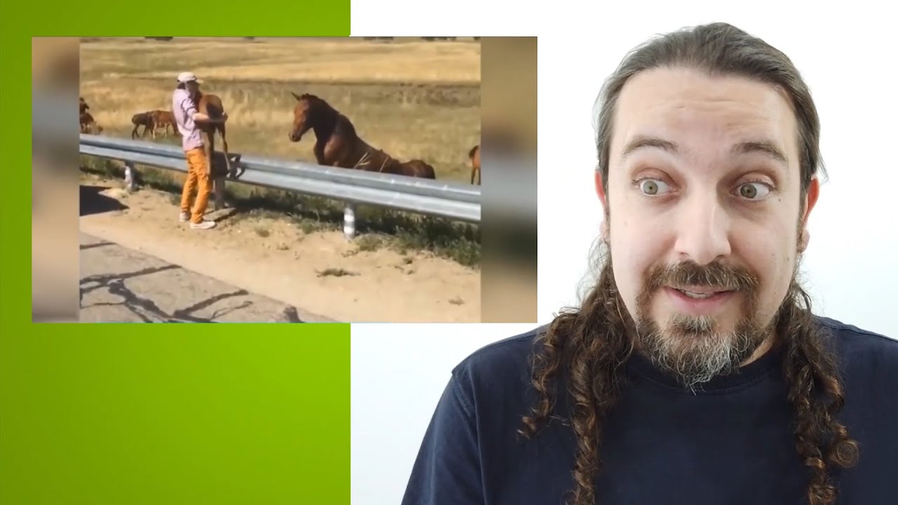 Vegano reage a pessoas não veganas salvando animais