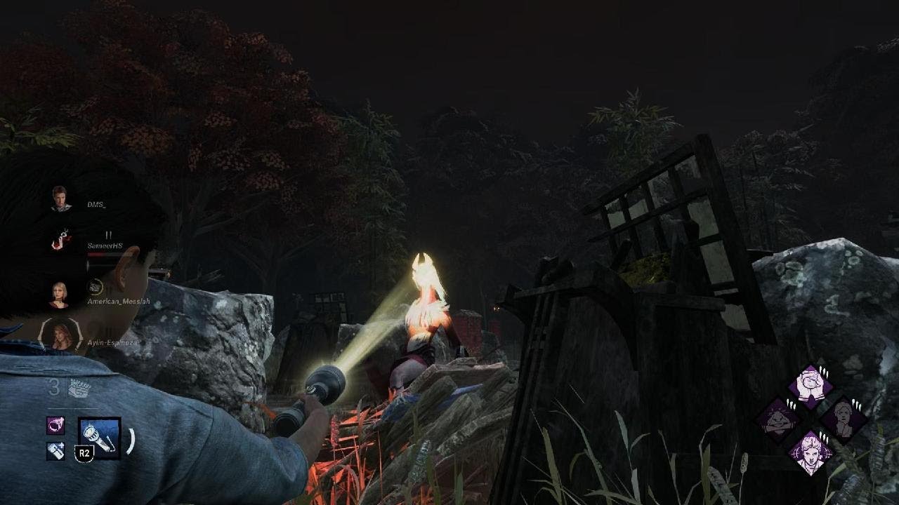 11 Against Crow Lady - DBD