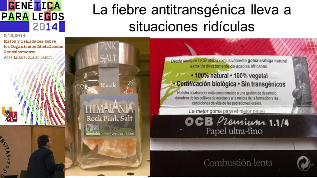 MITOS Y REALIDADES SOBRE LOS ORGANISMOS MODIFICADOS GENÉTICAMENTE