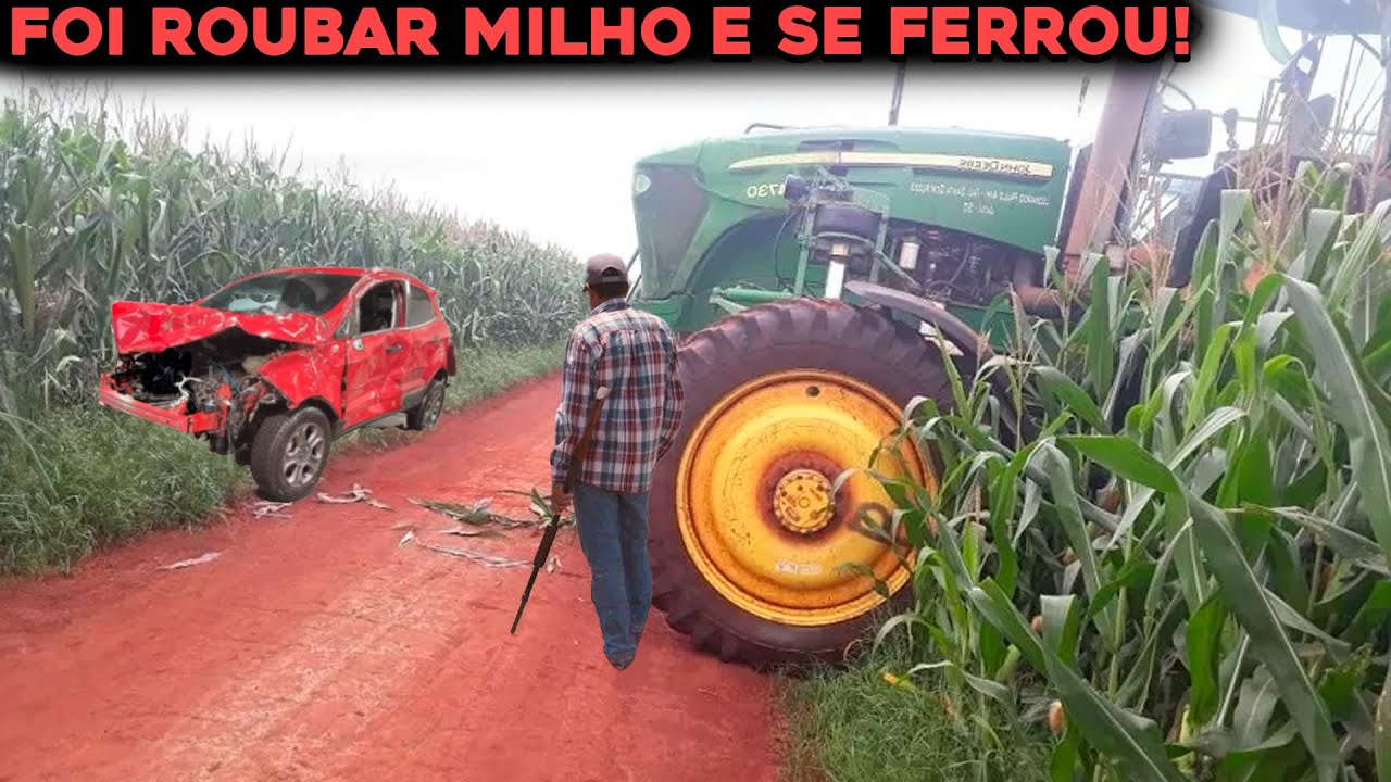 LADRÃO DE MILHO SE DA MAL AO ENCONTRAR FAZENDEIRO NA PLANTAÇÃO