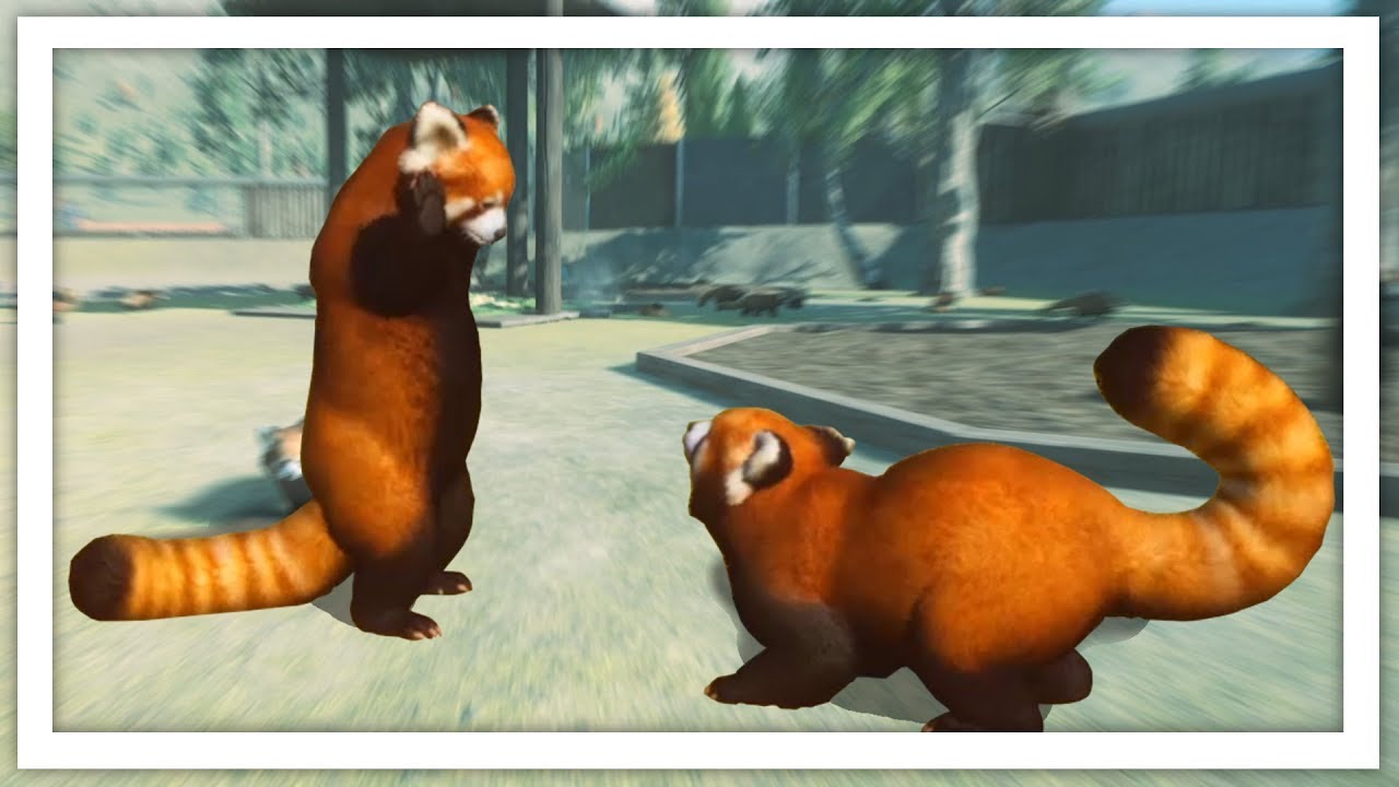 Я построил зоопарк, чтобы использовать вымирающий вид в Planet Zoo