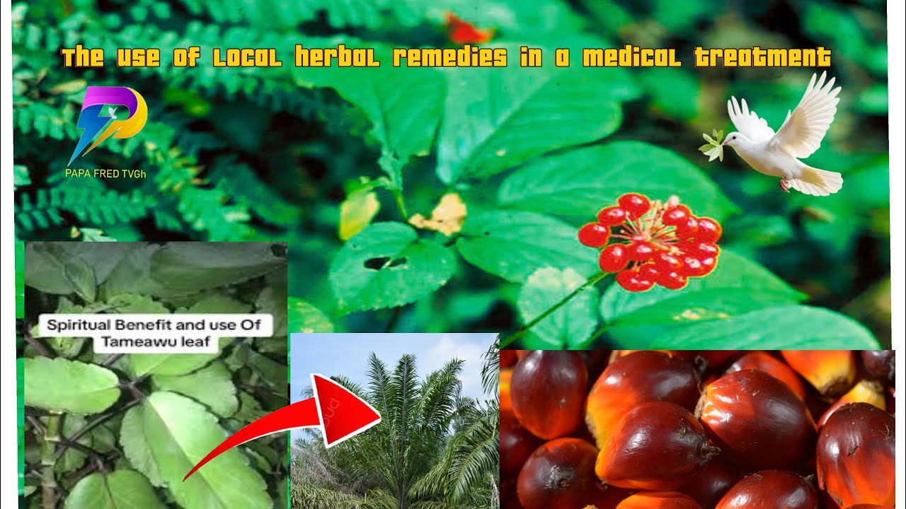 Deep herbal remedies for all problems @Fredachie700 @thezoepodcast @ZionfelixTV