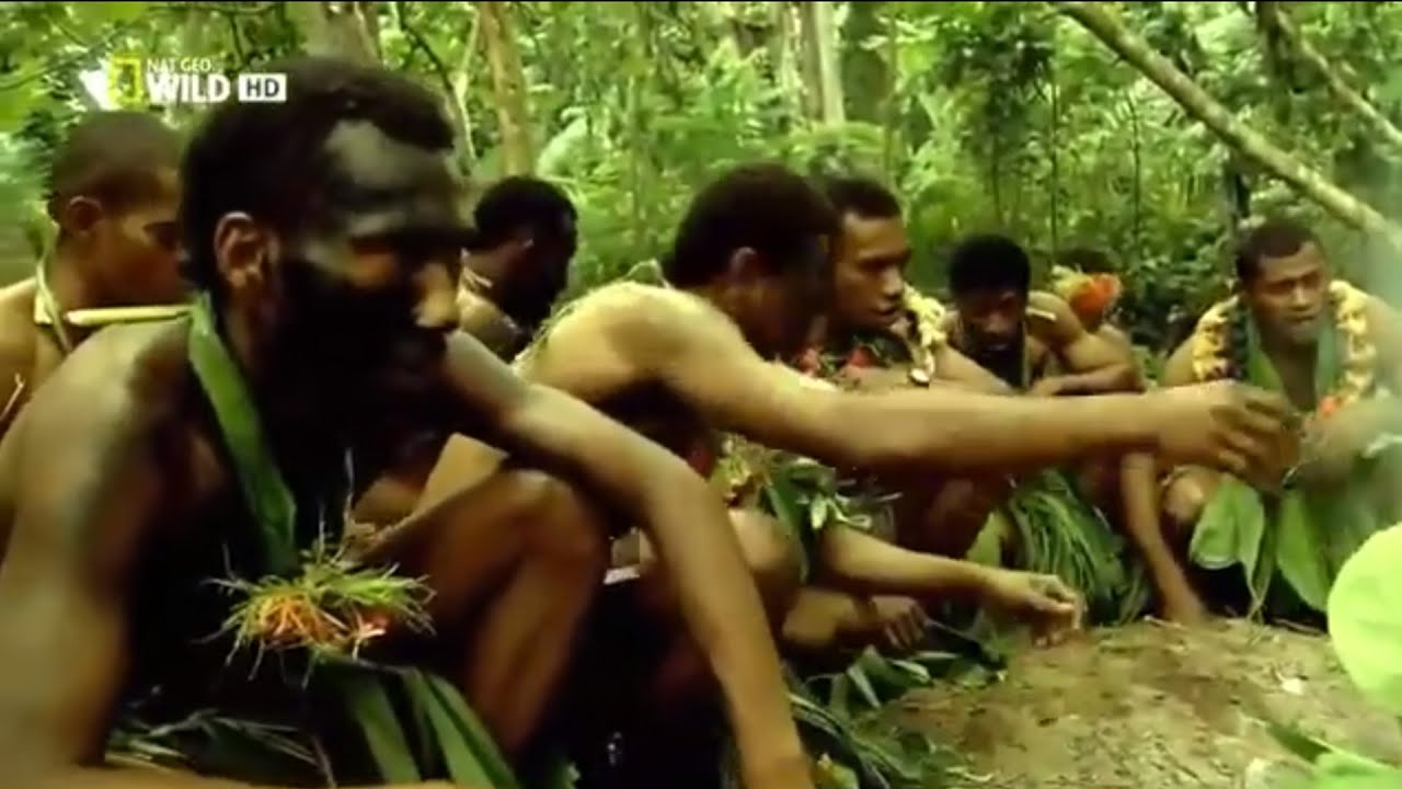 Nat Geo Wild Islands | Fiji (Nature History Documentary)