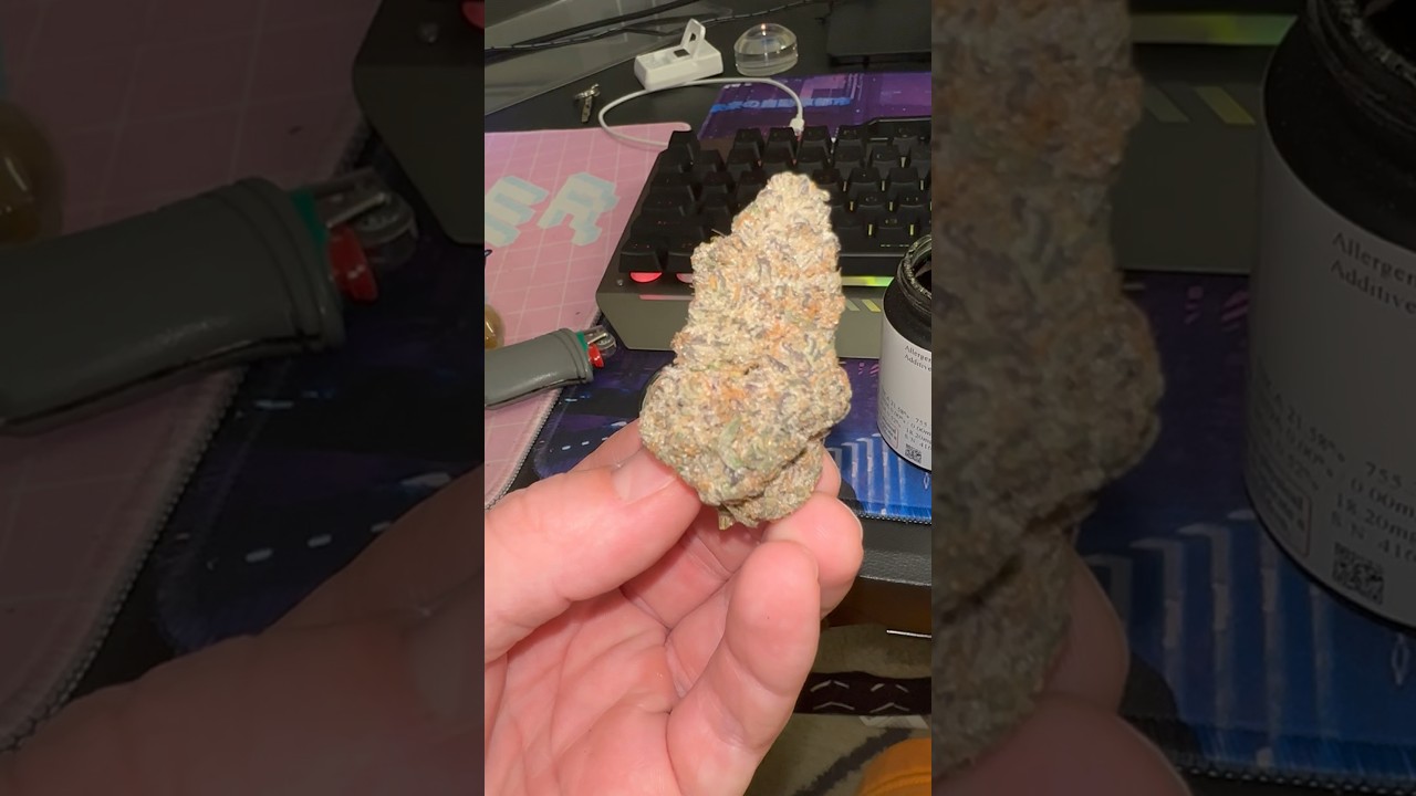 Chili Verde Strain