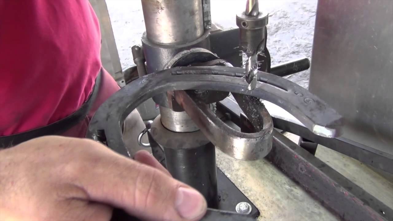 Shoeing For A Living (Christian Roy): Shoeing Trailer Aftermarket Additions