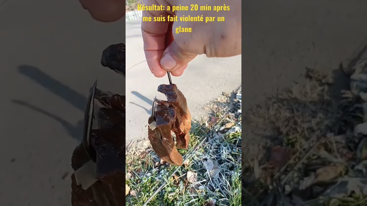 p&ecirc;che aux abats p&ecirc;che du silure en hiver  1 app&acirc;t prepar&eacute; et efficace ! #fishing #fisherman #catfish