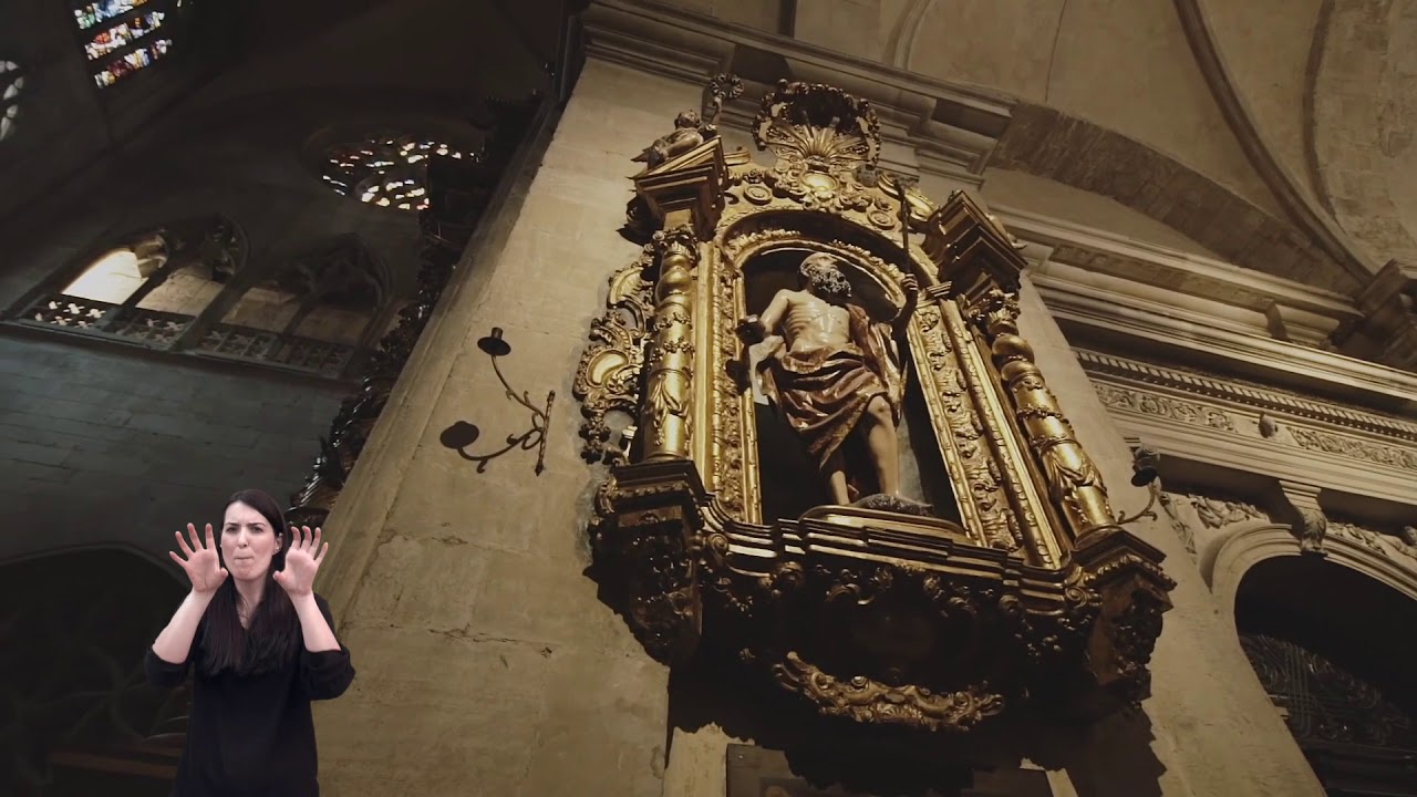 APADA Catedral de Oviedo