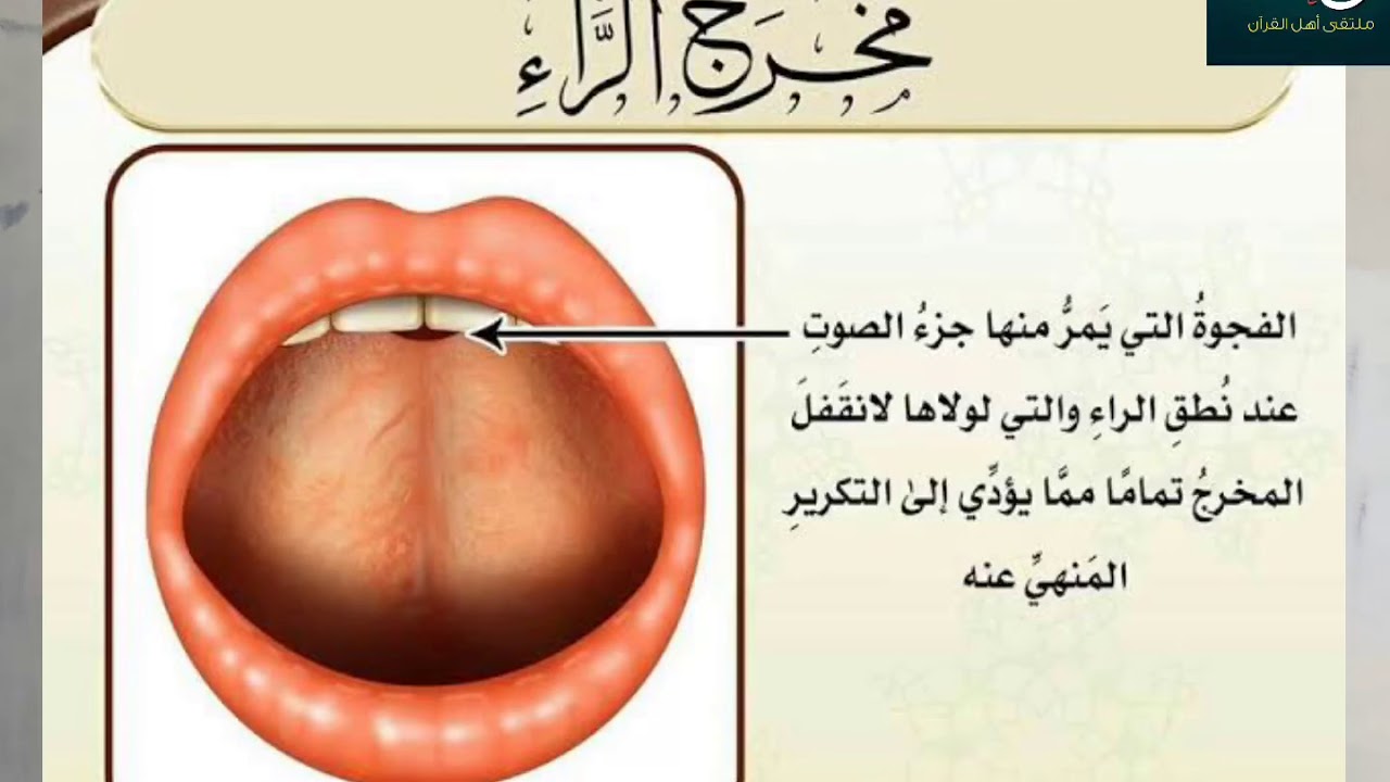 مخرج حرف الراء(موضع اللسان  بدقة عند نطق حرف الراء)