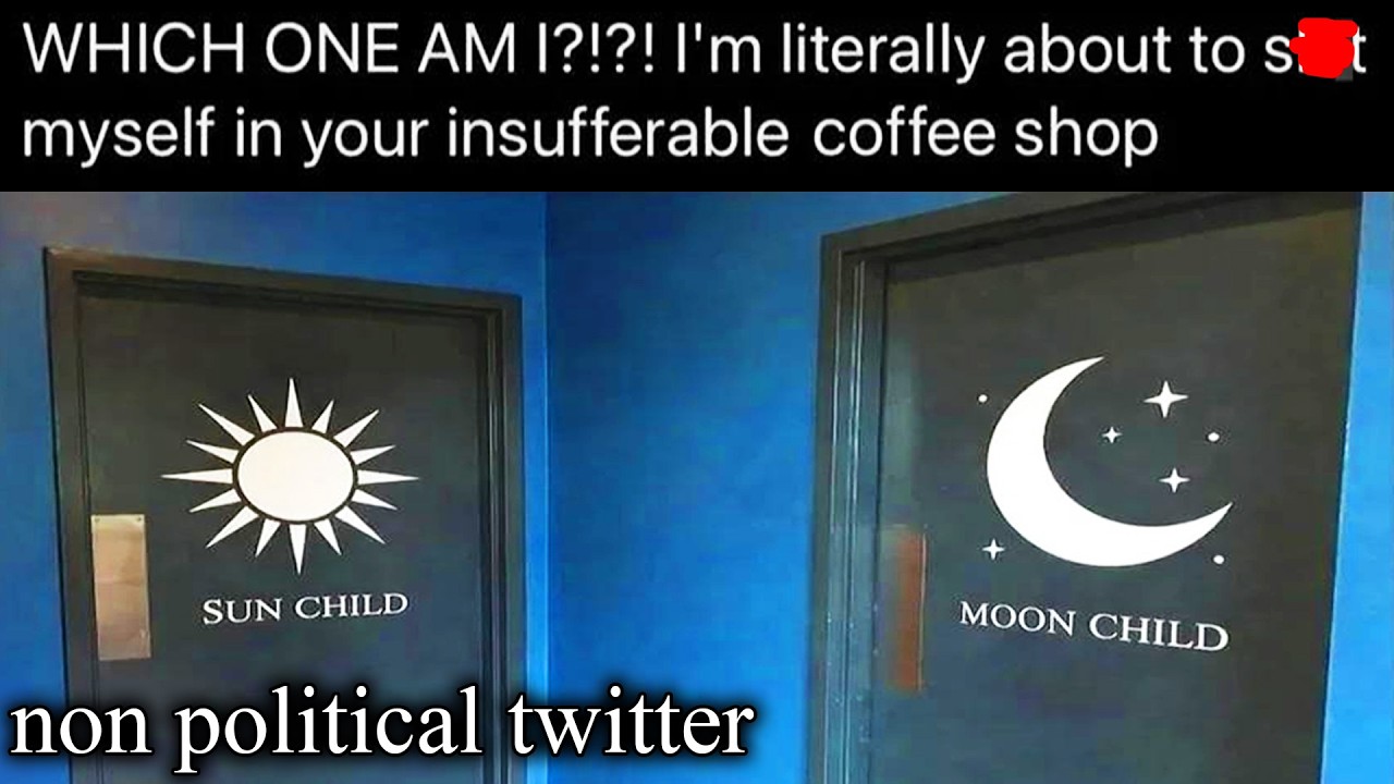 twitter with none of the politics