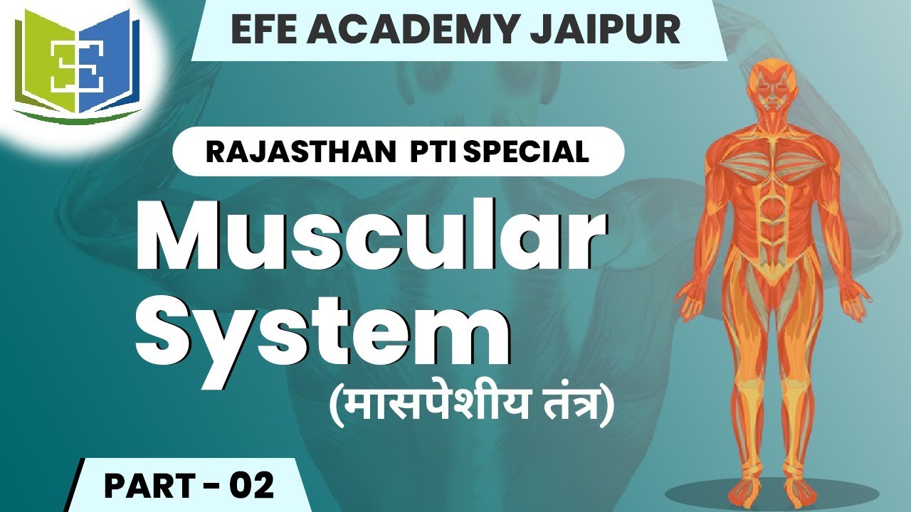 मासपेशीय तंत्र Part-2 Muscular System Part-2 