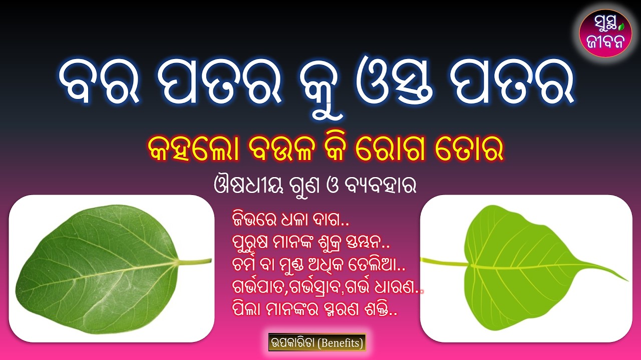 ବର ଗଛ ଓ ଓସ୍ତ ଗଛ ର ଔଷଧୀୟ ଗୁଣ | Banyan tree & Pipal tree health benefits | Sustha Jibana Odisha