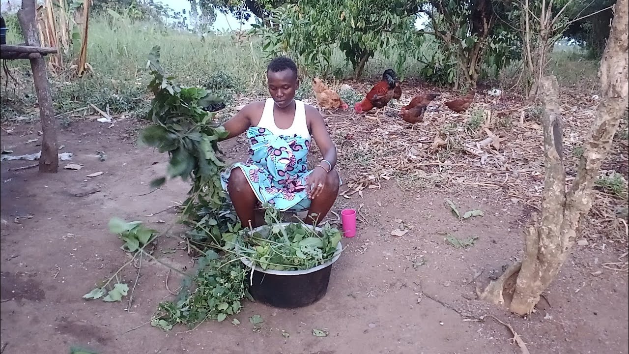 Our Village Magical Herbal Steam Bath // Village life in Africa