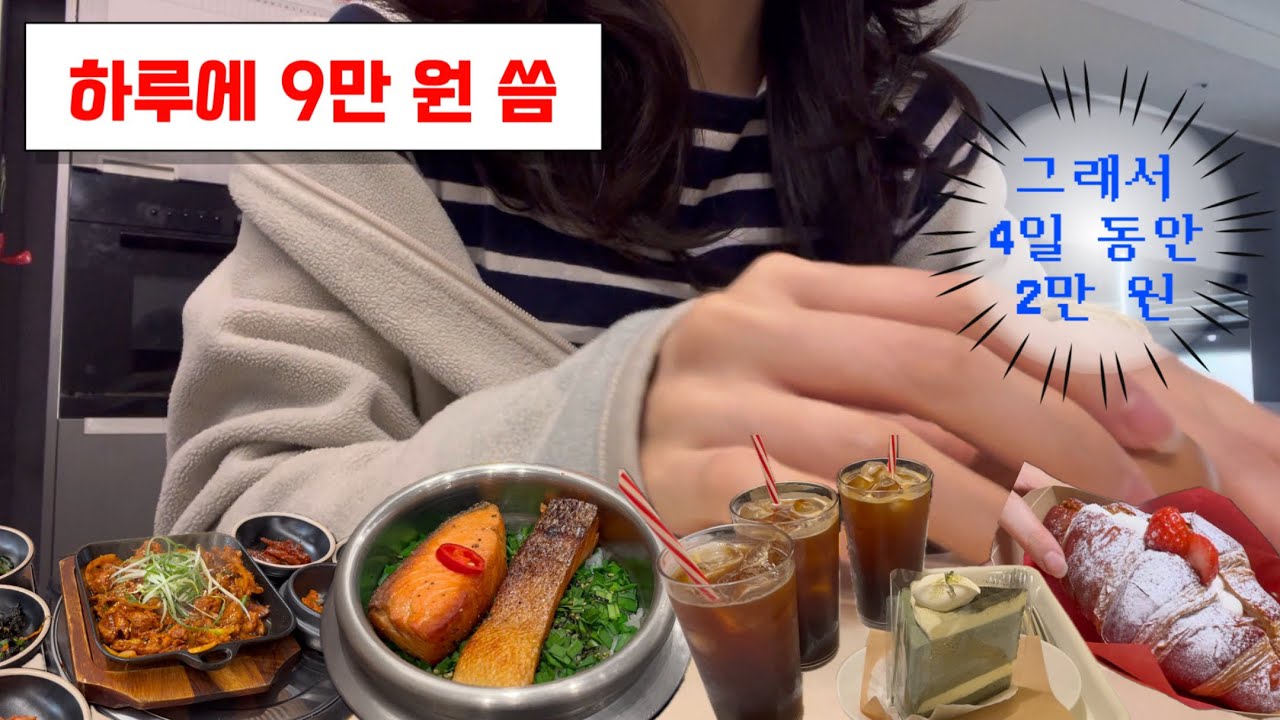 하루에 9만 원 썼다고?! | 5일 11만 원 소비 브이로그 | 월급 200 직장인