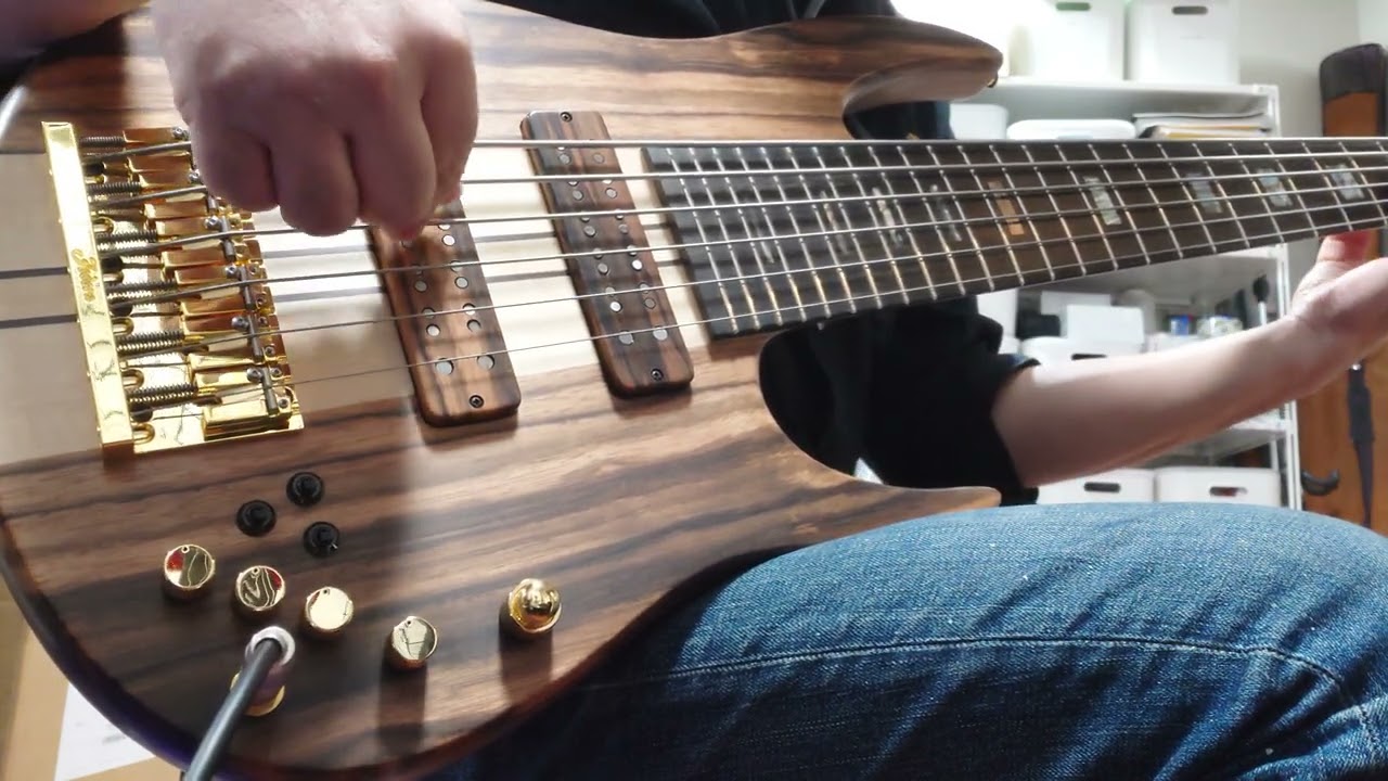 Fodera Anthony Jackson ContraBass 6 Elite Macassar Ebony DEMO