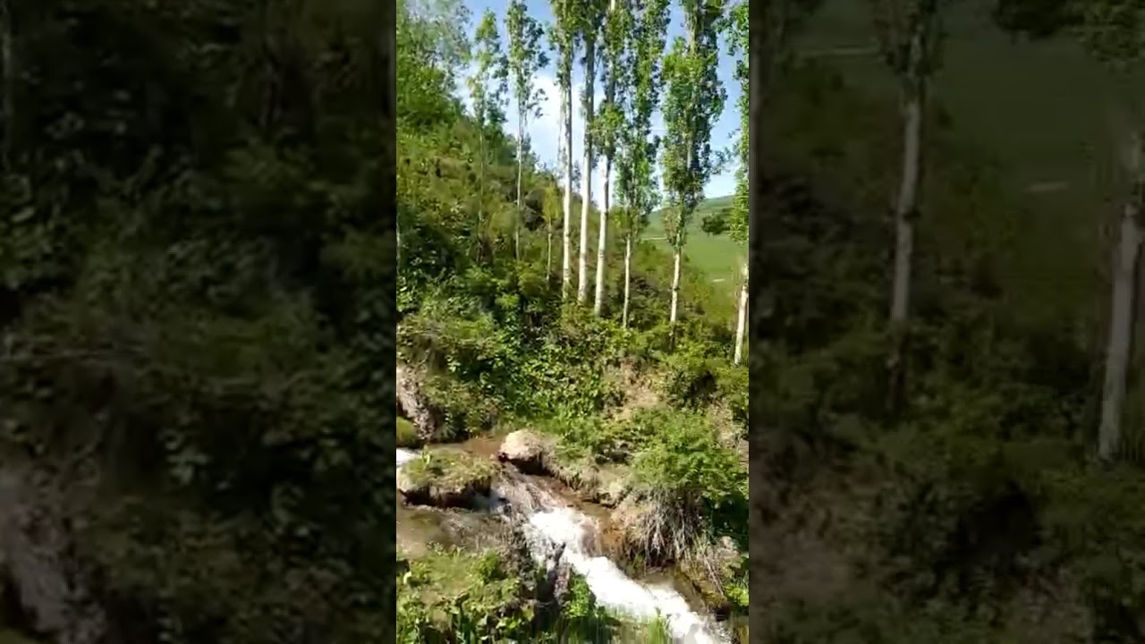 Хушманзарахои хазорчашма