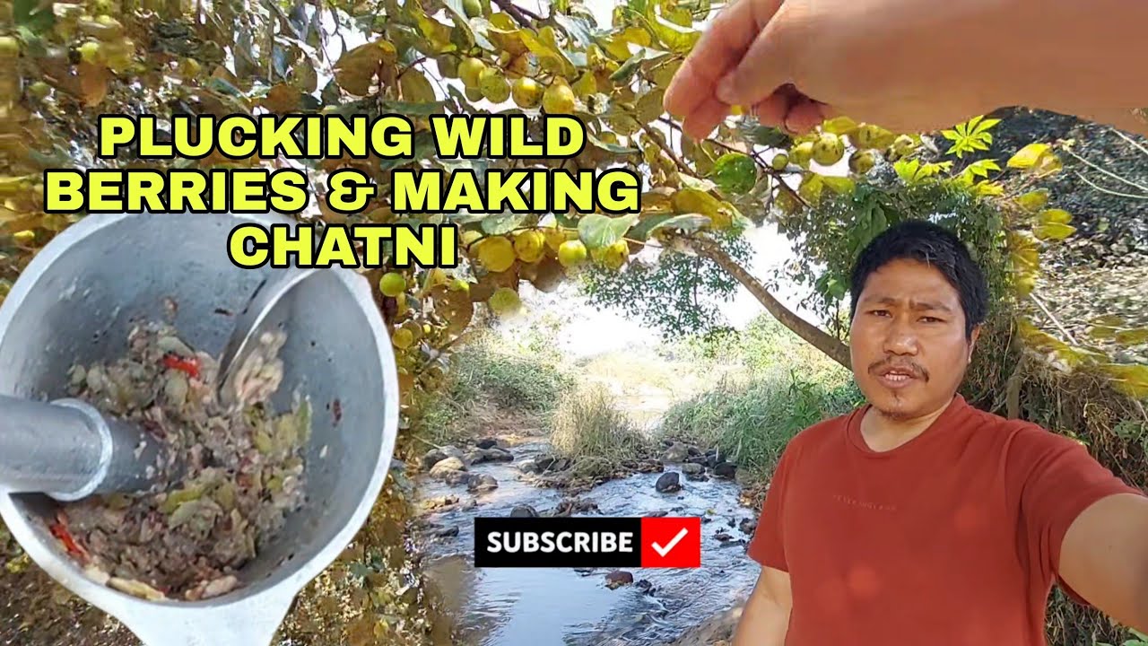 Wild Berry Plucking & Homemade Chutney | Simple Village Life