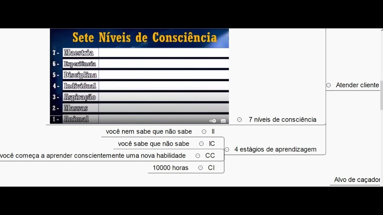 7 N&iacute;veis da Consci&ecirc;ncia Ninja - Imers&atilde;o Ninja - Protheus do ZERO a Ninja