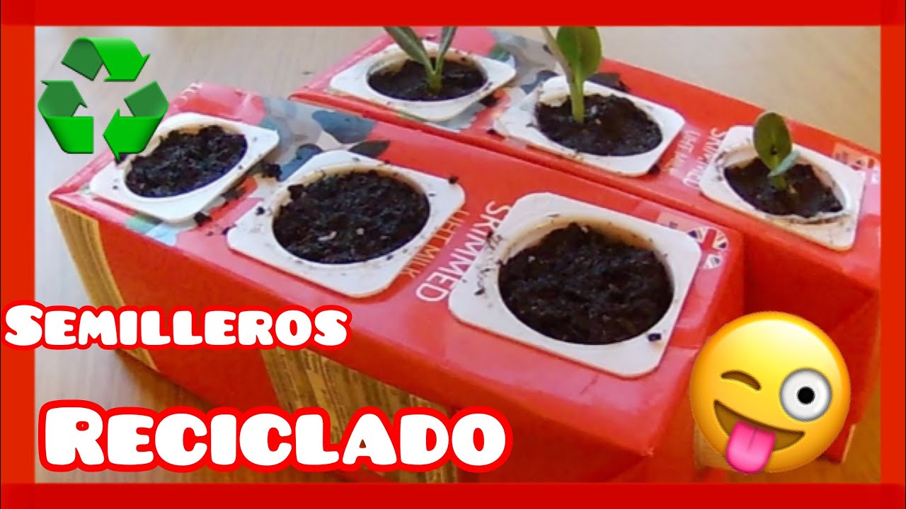 Semillero reciclado