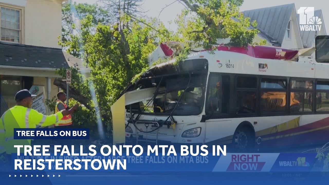 5 injured after MTA bus damaged by falling tree