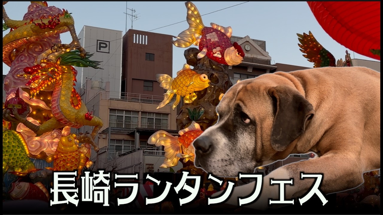 サンちゃんとランタンフェスへ