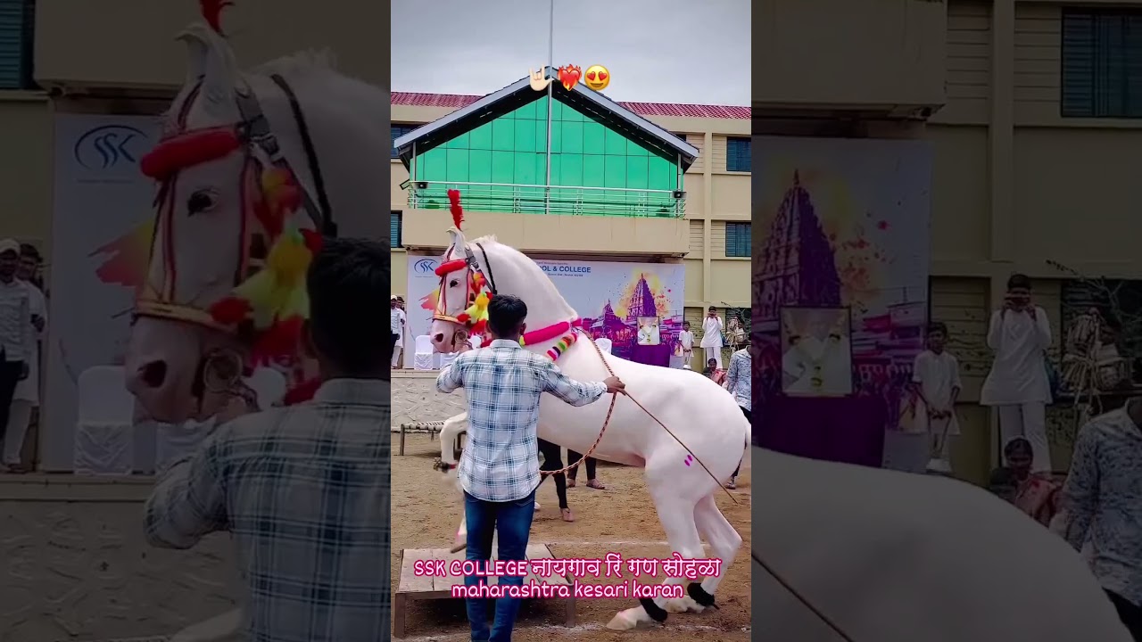 Maharashtra kesari karan💯❤️🏆🔝#vairalvideo #sonya5050#horse #horselover