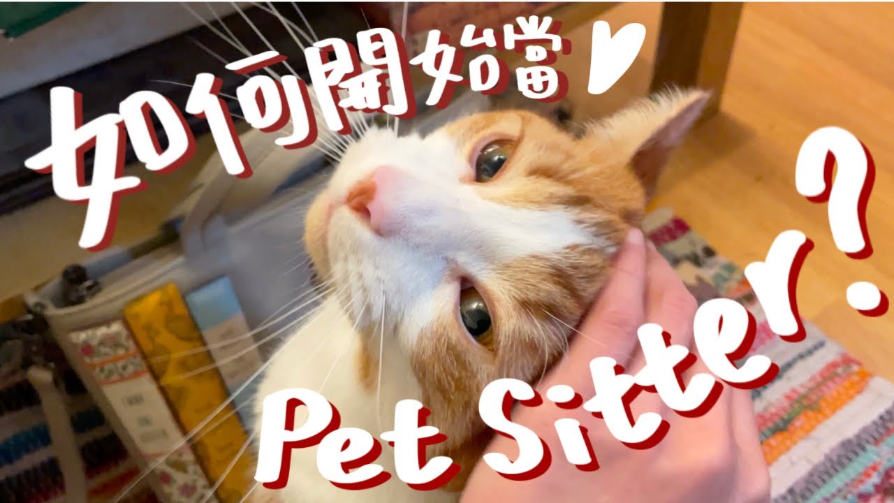 陪我當一天寵物保姆！真實經驗分享、申請流程詳解及實用小技巧 🐾 Rover & Cat in a Flat【英國寵物保姆Pet sitting】