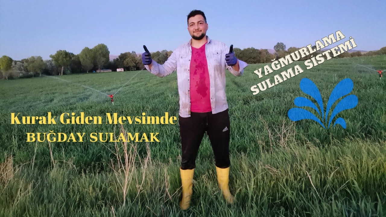 KURAK GİDEN MEVSİMDE!! YAĞMURLAMA SULAMA SİSTEMİ İLE BUĞDAYLARI/ARPALARI SULAMAK