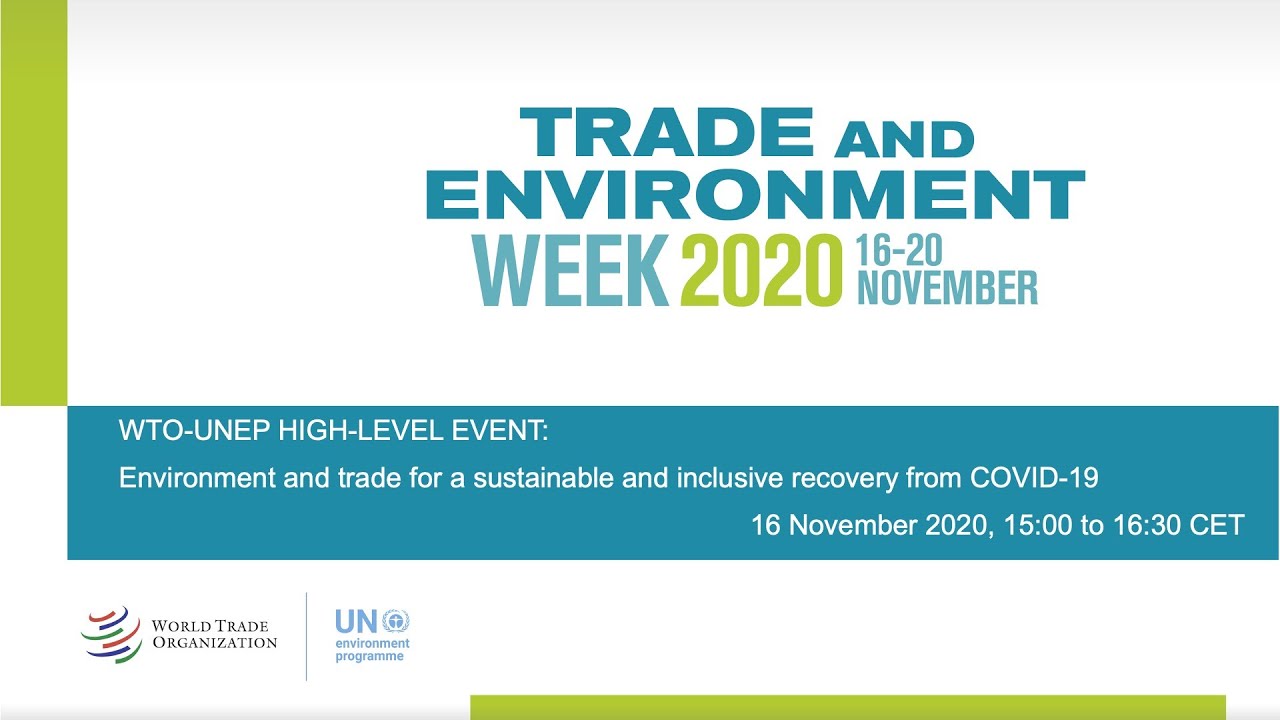 Environment and Trade for a Sustainable and Inclusive Recovery from COVID-19