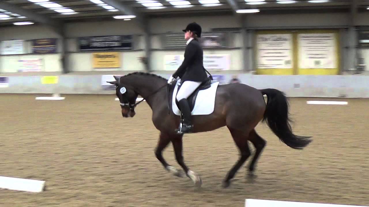 Sarah_Howen_E53_Myerscough_211115_MAH07250