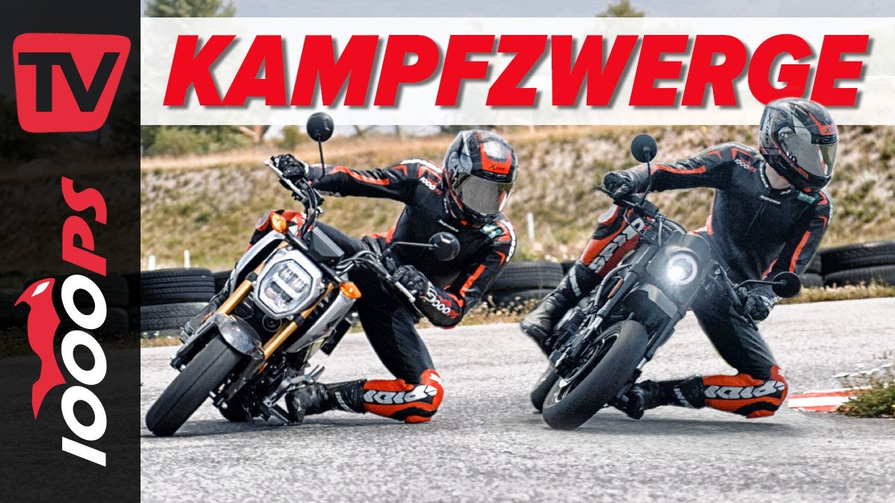 Pitbikes mit Straßenzulassung: Honda MSX 125 Grom vs. Brixton Crossfire 125 XS - Kampfzwerge Duell!