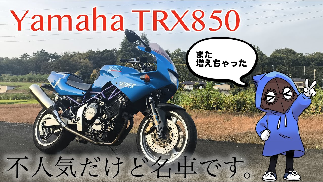 【名車なのに】ヤマハTRX850に乗りながら、他のＶツイン車と比較などする【不人気】