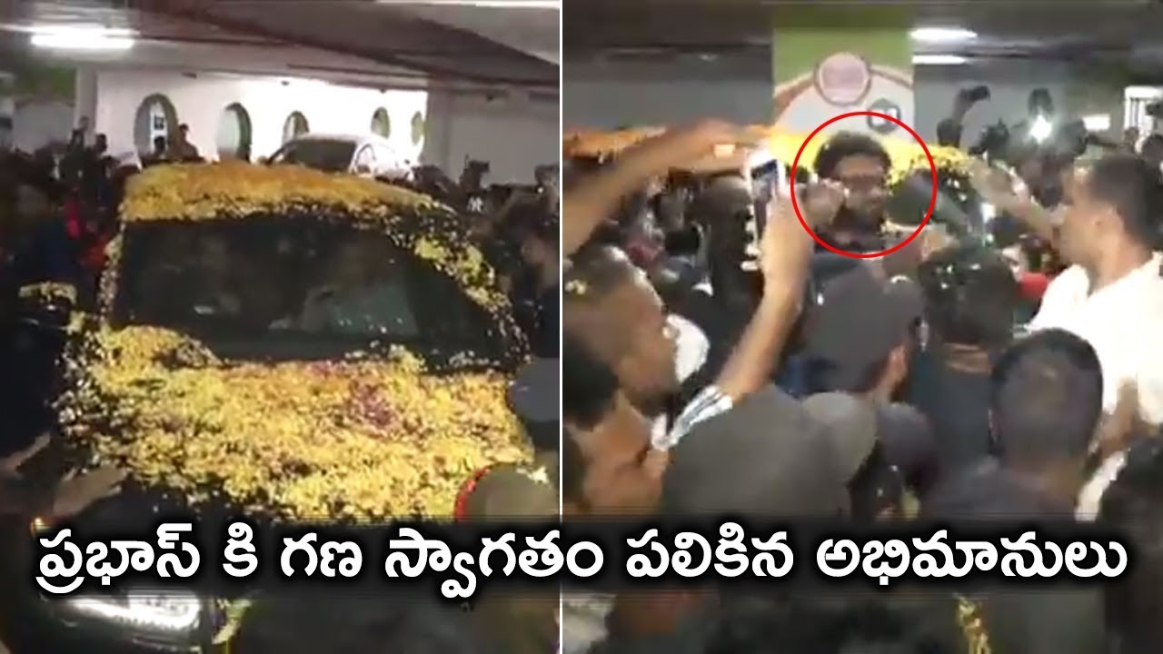 Fans Grand Welcome To Prabhas @ Birthday Celebrations || HBD Prabhas || icrazy media