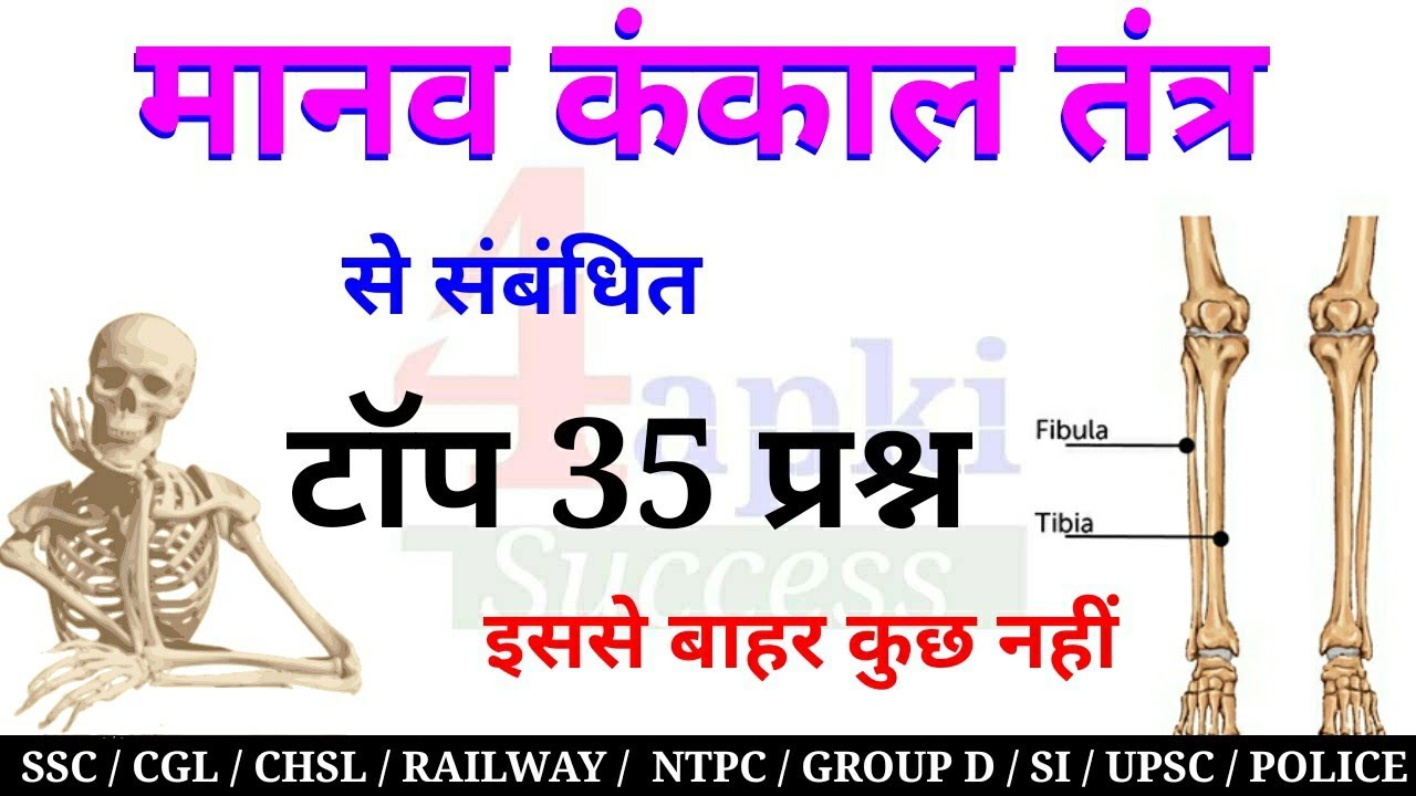 Biology GK : Skeleton System (मानव कंकाल तंत्र) टॉप 30+ प्रश्न | SSC, CGL, CHSL, Railway, NTPC, UPSC