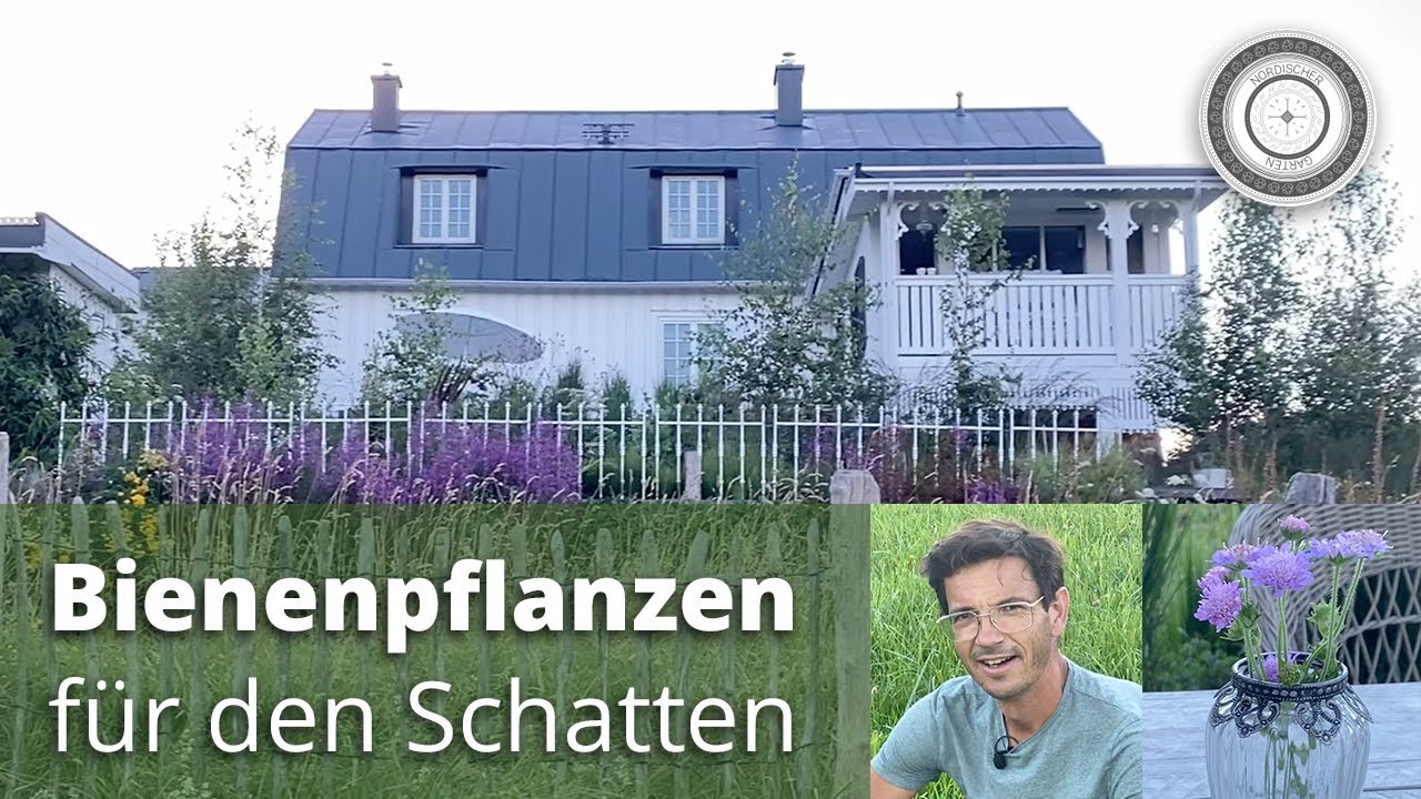Heimische Bienenpflanzen für den Schatten - Waldspaziergang Teil 2