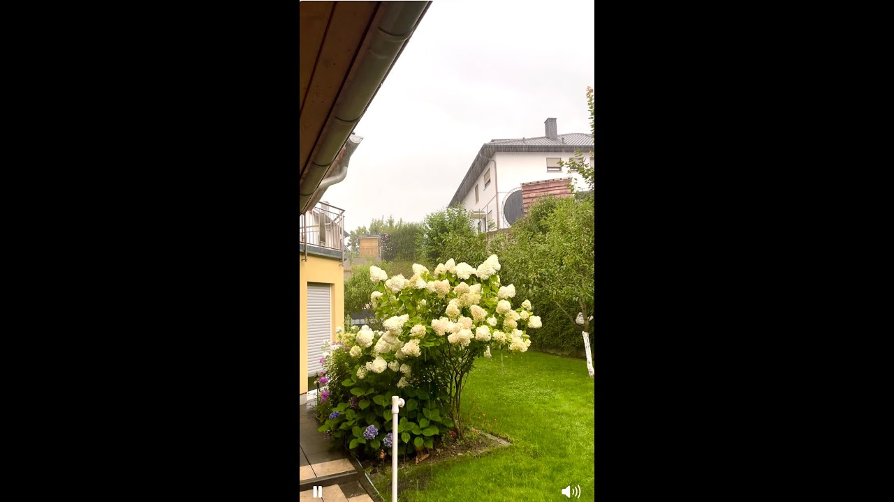 ЭТОТ УЖАС случился в нашем ПОСЁЛКЕ/schreckliche EREIGNIS In unserem Dorf