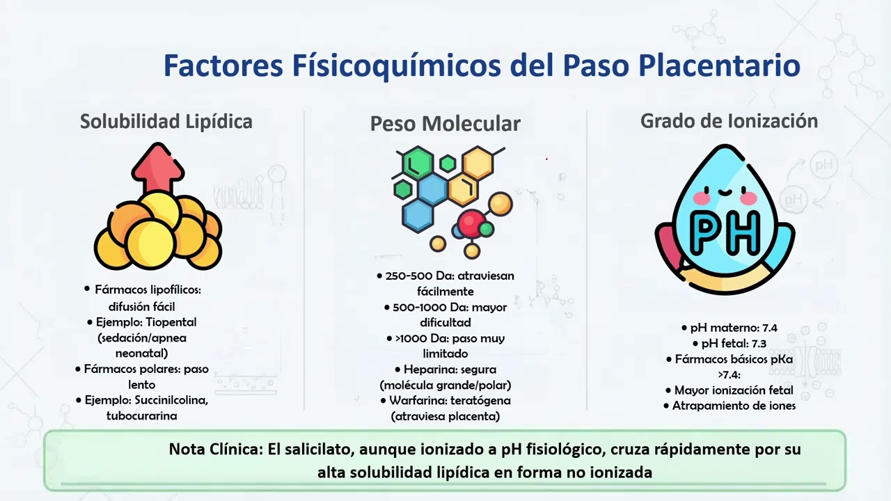 Presentación de PowerPoint   Aspectos Especiales de la Farmacología Perinatal y Pediátrica 2026 02 1