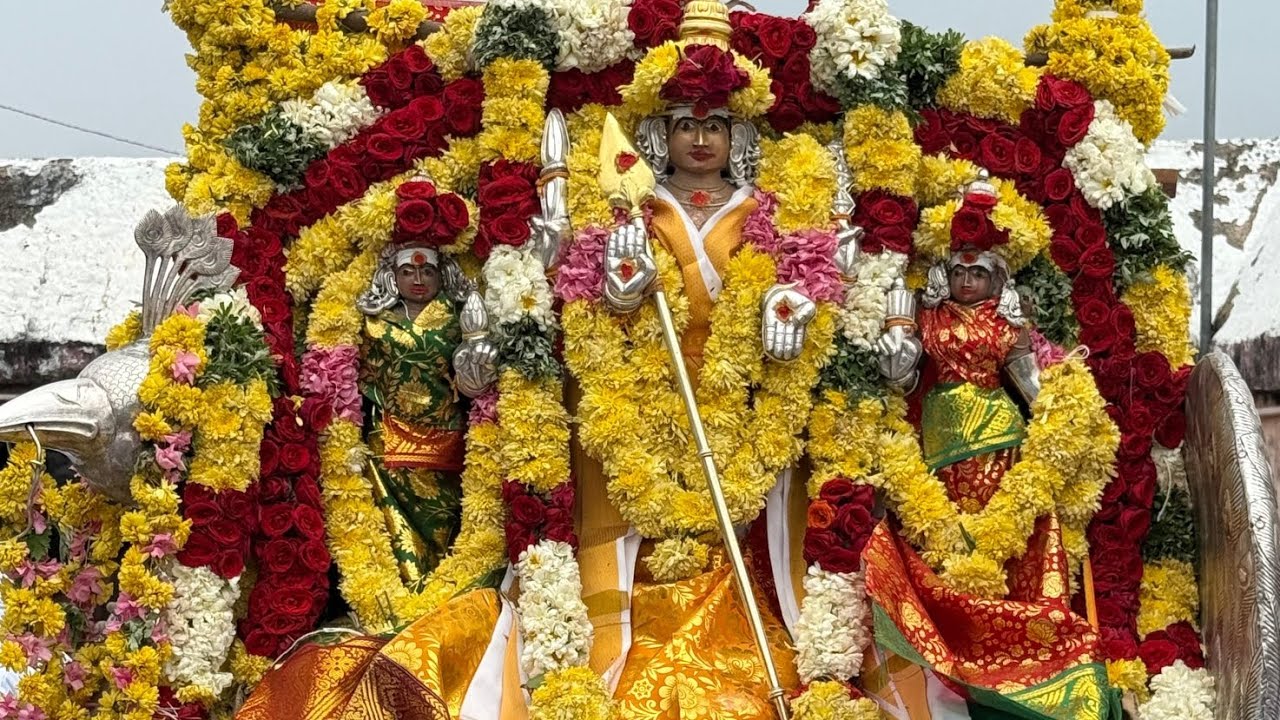 நற்சாந்துபட்டி நகரத்தார் காவடி 3️⃣6️⃣ மலையக்கோவில் செல்லுதல்