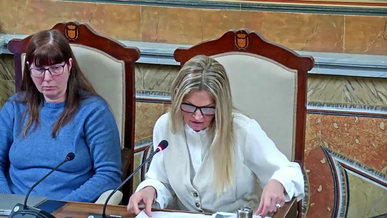 Ple de l'Ajuntament de Valls 26 de gener 2026