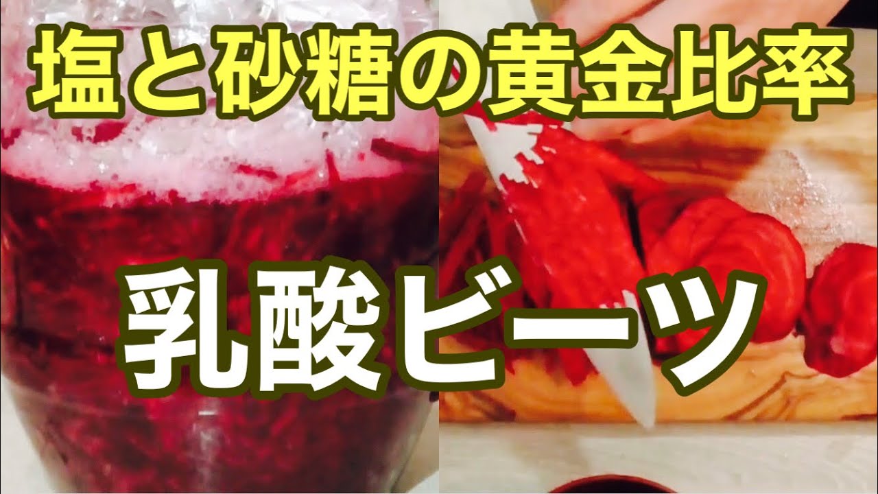 「発酵ビーツ」　細切りビーツでザワークラウト　ポイントは砂糖と塩のバランスです。　ベテラン調理師の発酵チャレンジ