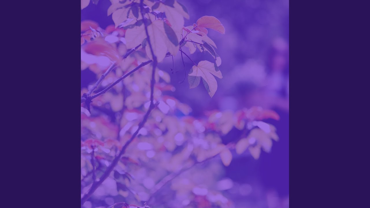 Refined Music for Deep Relaxation