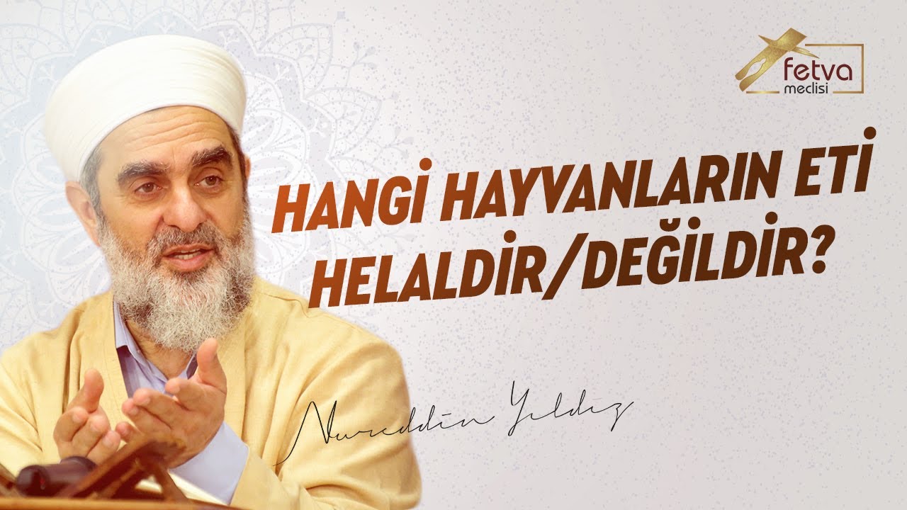 Hangi Hayvanların Eti Helaldir/Değildir? - Nureddin Yıldız - fetvameclisi.com