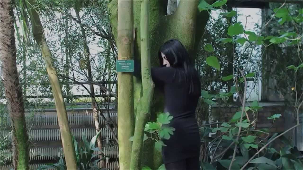 per wers/ i'm eve i've apple