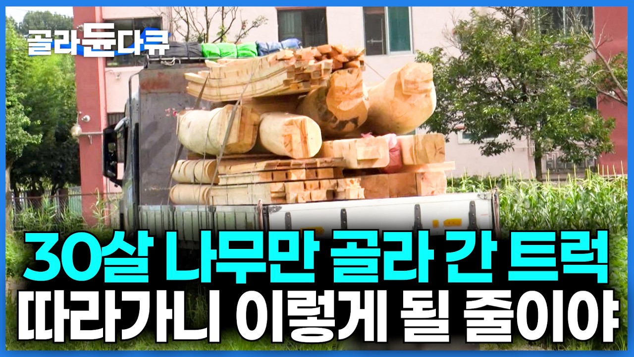 강원도에서 온 30살 이상 나무만 담아 온 트럭이 향하는 곳 뒤 따라갔더니｜전통 한옥 짓는 과정｜극한직업｜#골라듄다큐