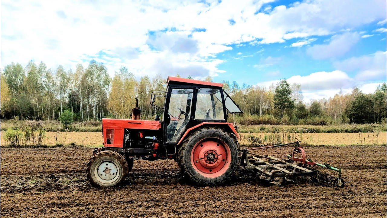 Siew pszenicy Rotax na raty, 100kg na #hektar -nie wyszło;(#belarus #ursus #mtz #siewnik