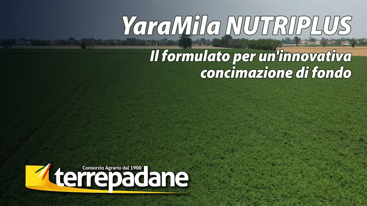 Formulato YaraMila NUTRIPLUS - Campagna pomodoro 2023