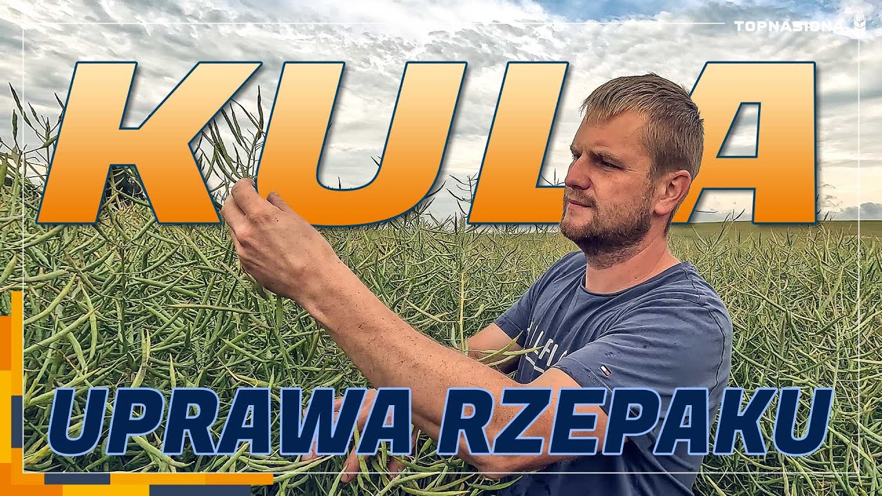 🚜 Kula @KulaXT | Uprawa rzepaku Paradizze i Onca | Top Nasiona