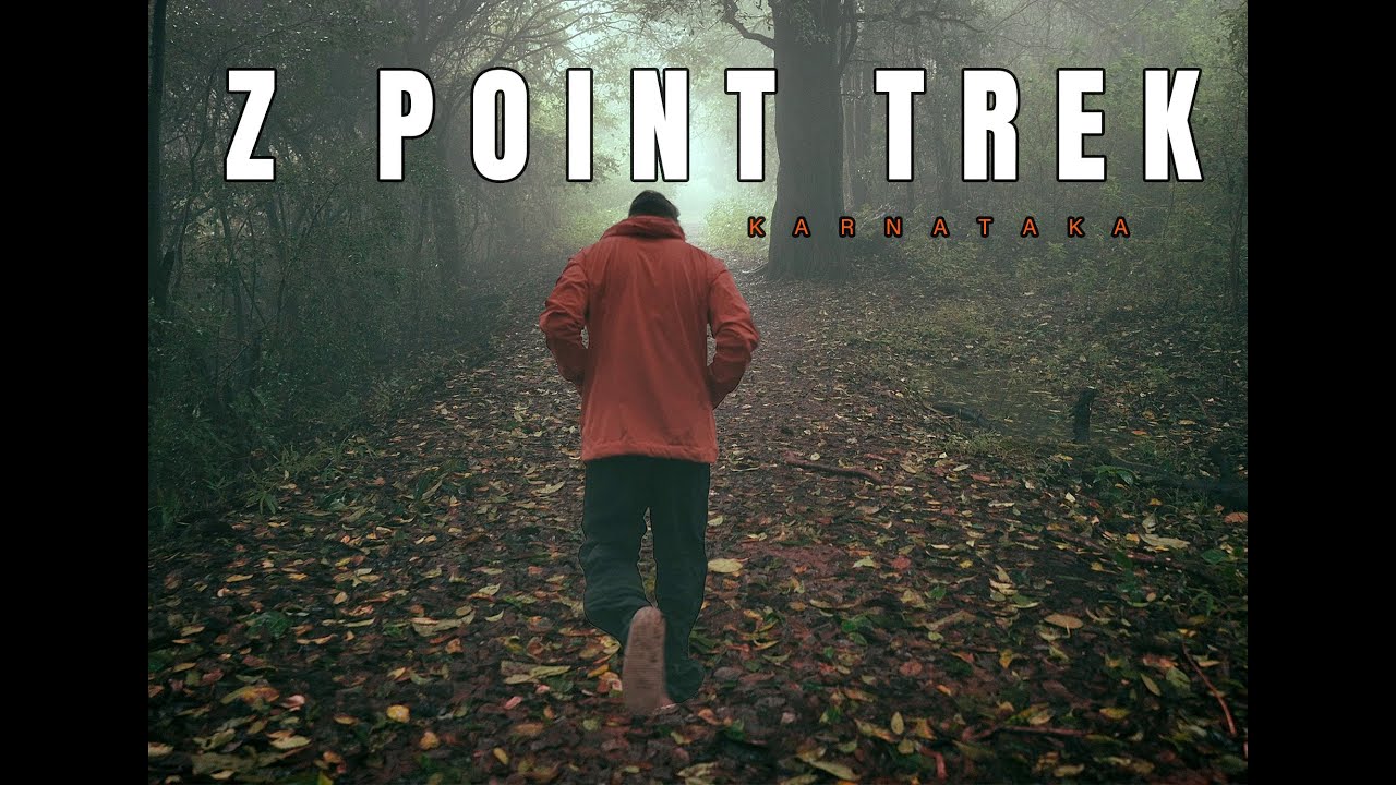 Nature’s Fury at Z Point 🌧️ Fog • Waterfalls • Leeches | Chickmaglur| Karnataka Tourism|4K